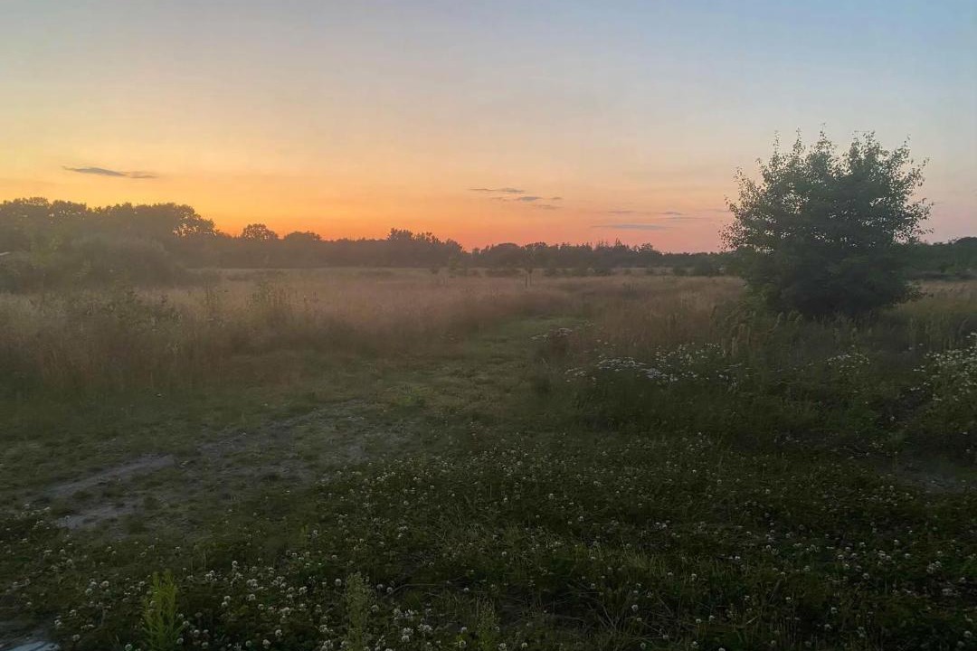 Photo of Others in Haslevgarde