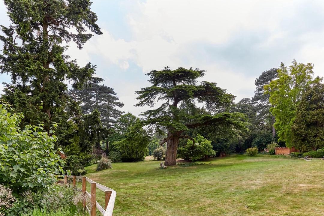 Photo of Others in Flitwick