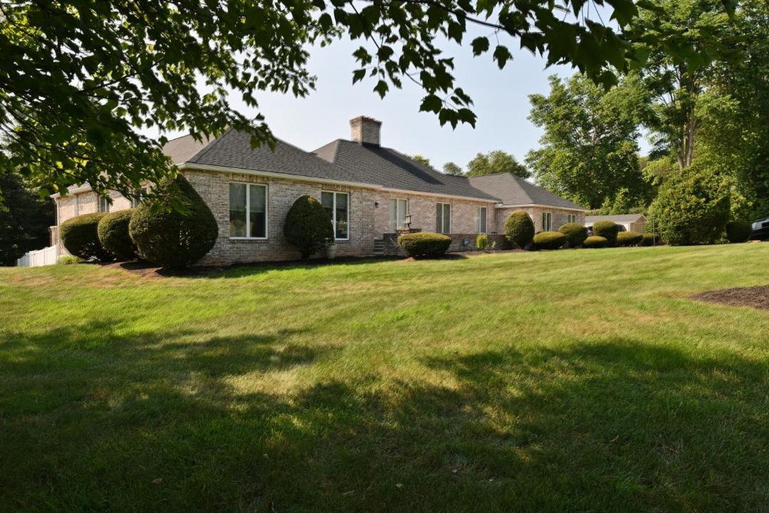 Photo of Others in Ono