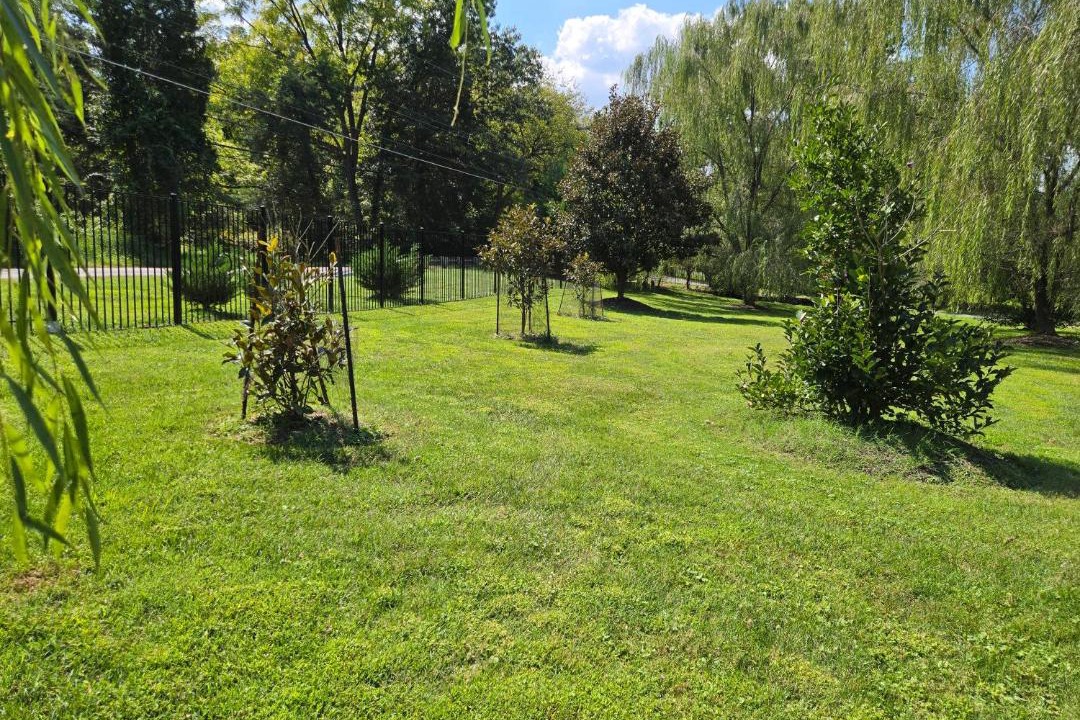 Photo of Outdoor in Darnestown