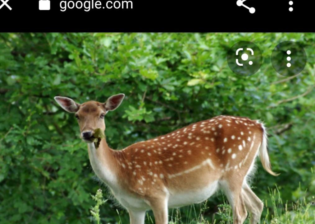 Photo of Others in Darnestown