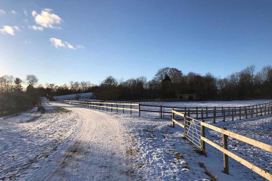 Photo of Others in Horsholm