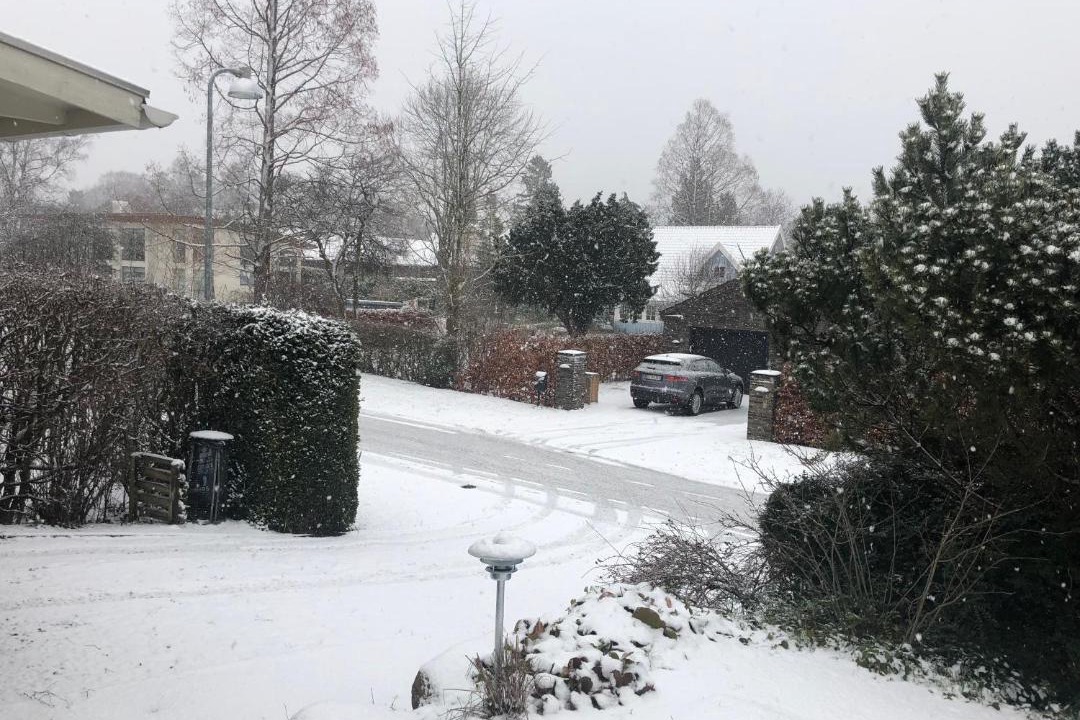 Photo of Others in Horsholm