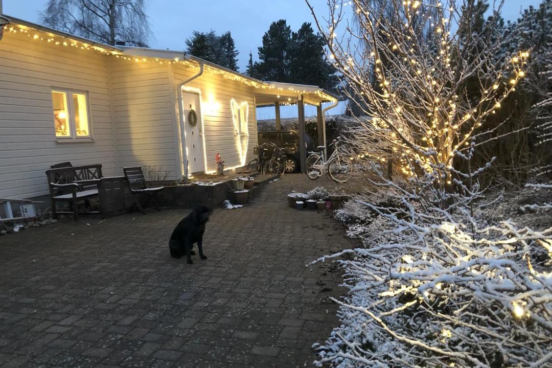 Photo of Others in Horsholm