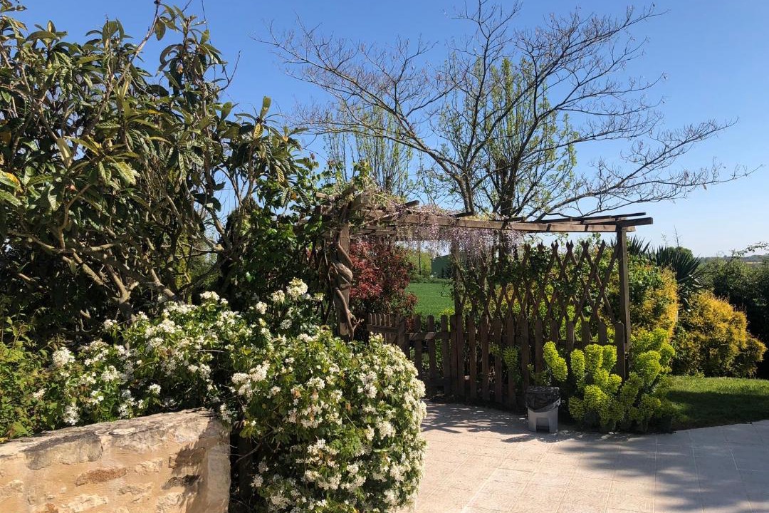 Photo of Others in Saint-Georges-de-Noisne