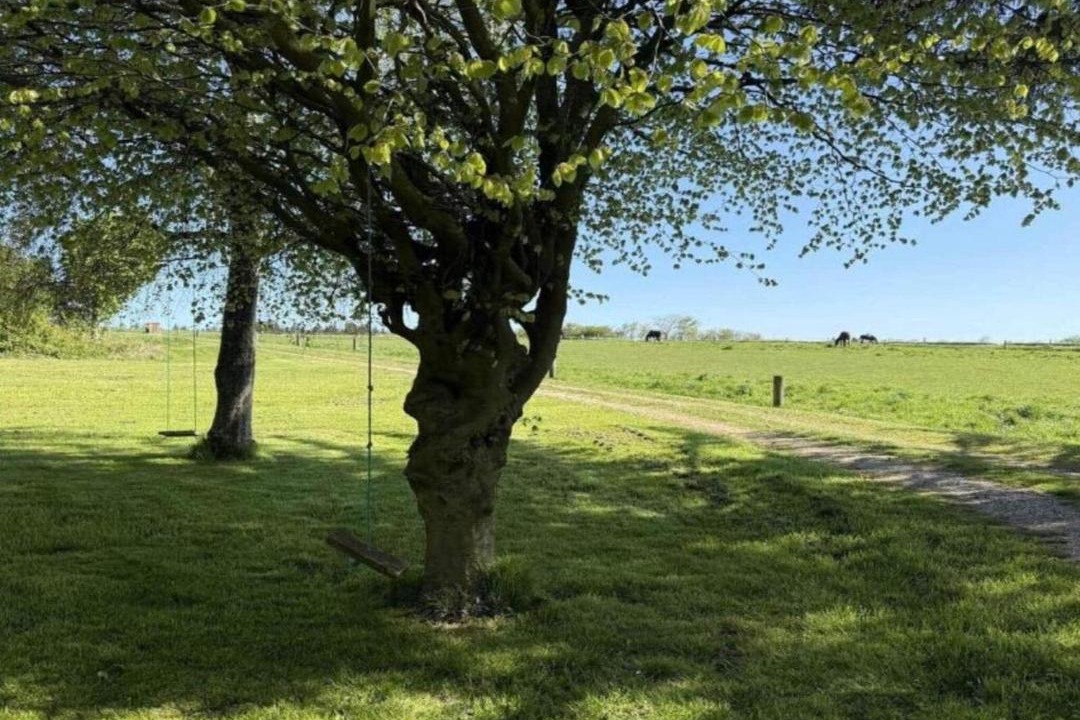 Photo of Others in Bedsted