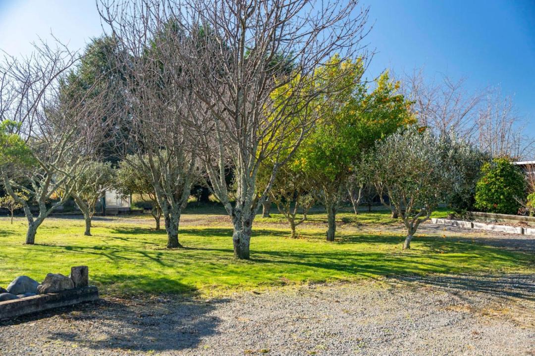 Photo of Others in Turangi