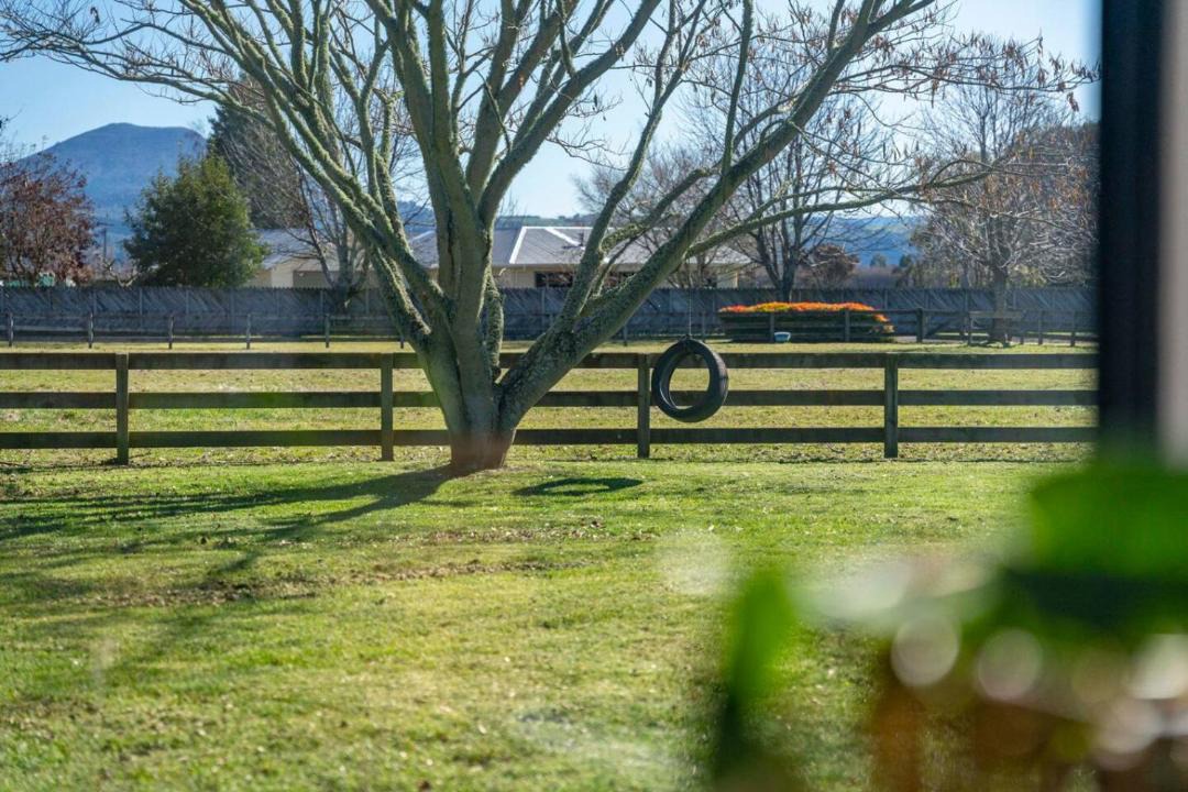 Photo of Others in Turangi