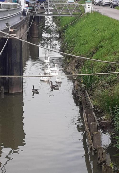 Photo of Others in Annezin
