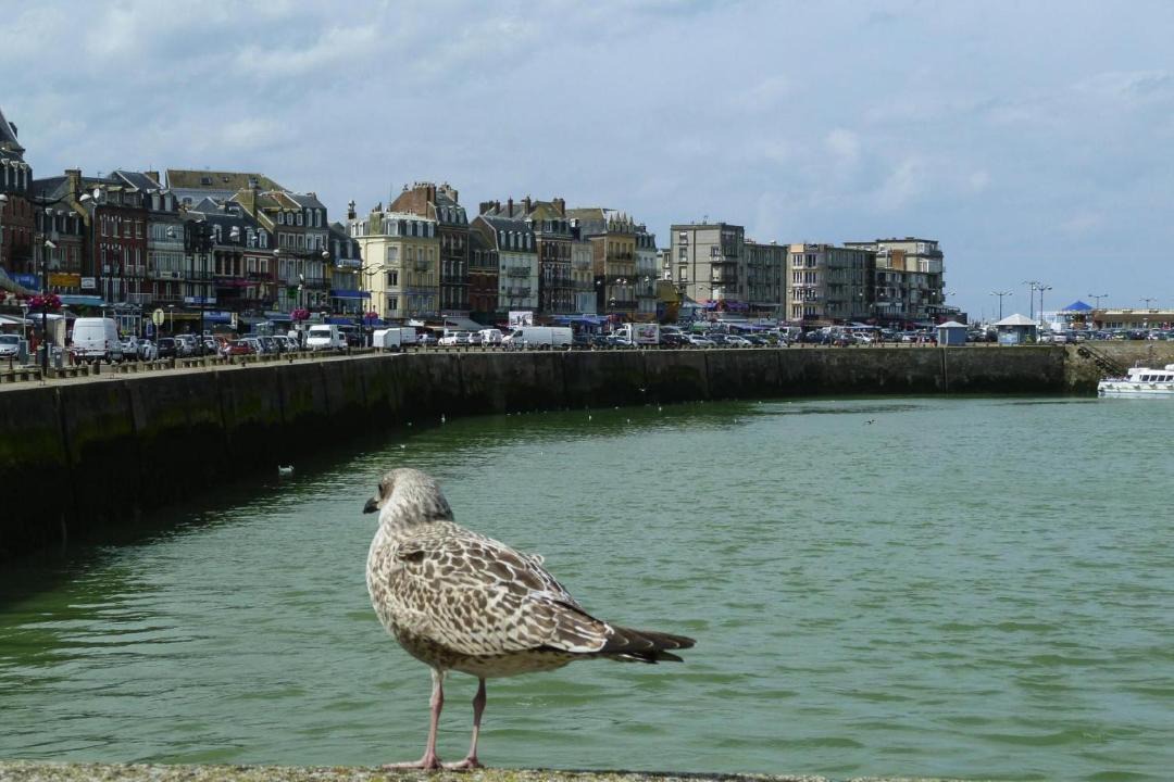 Photo of Others in Rieux