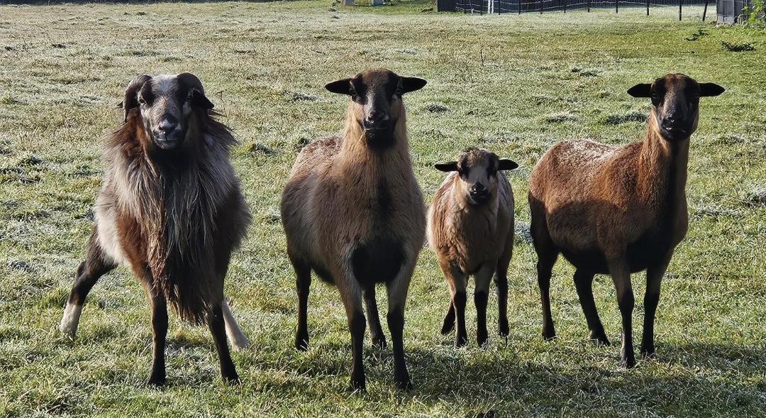 Photo of Others in Boigny-sur-Bionne