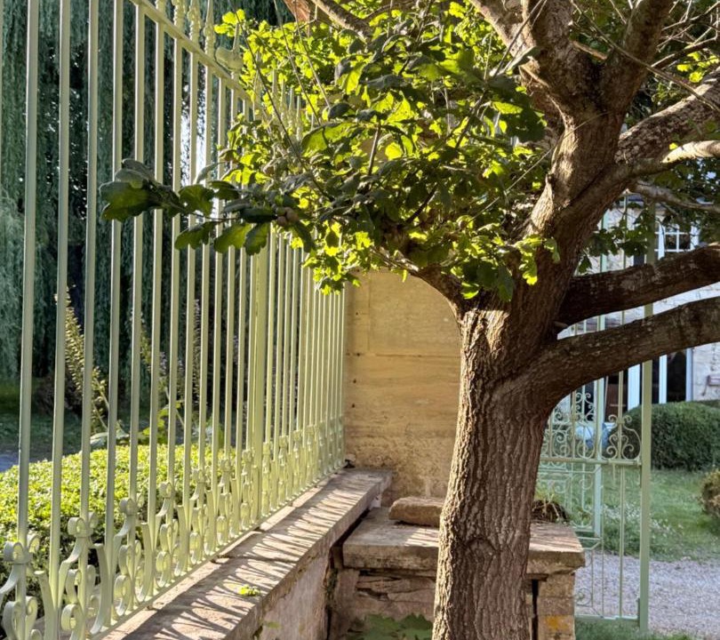 Photo of Others in Nonant