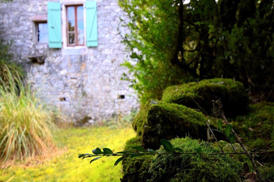 Photo of Others in Bagat-en-Quercy