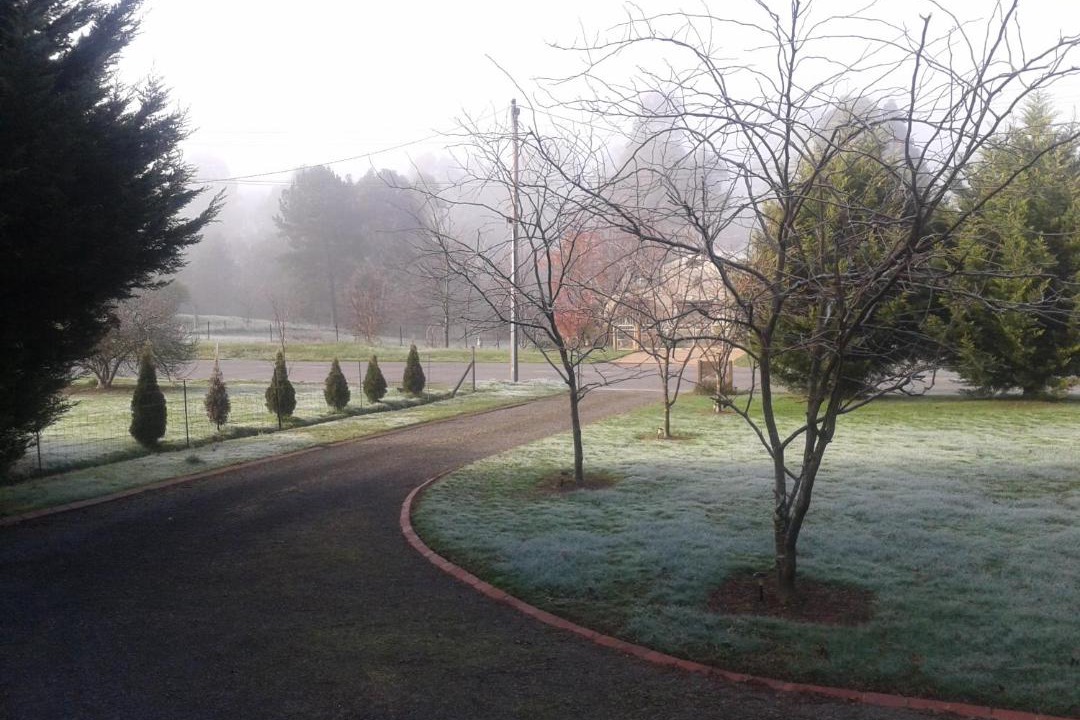 Photo of Others in Eildon