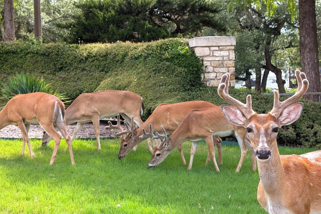 Photo of Others in Highland Lake Estates