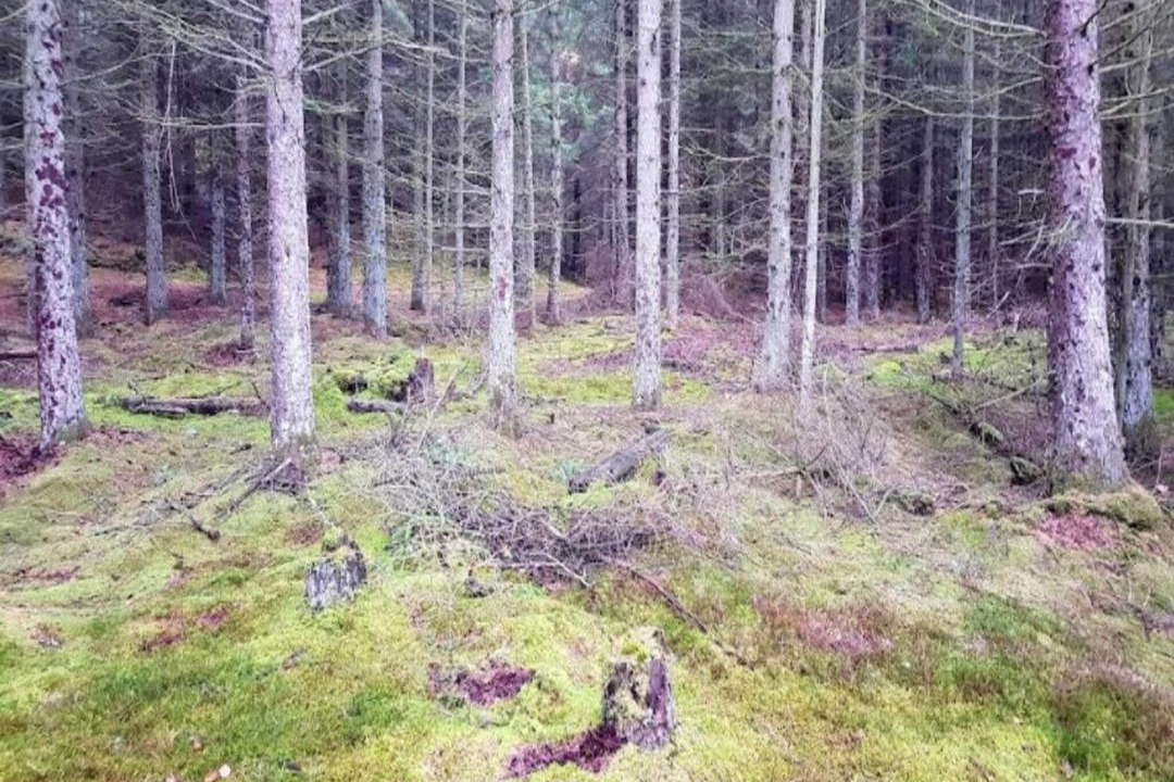 Photo of Others in Blokhus