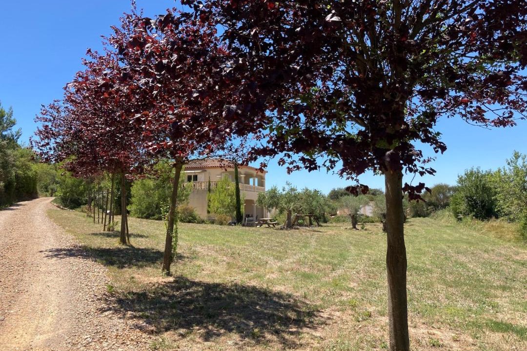 Photo of Others in Montbrun-des-Corbieres