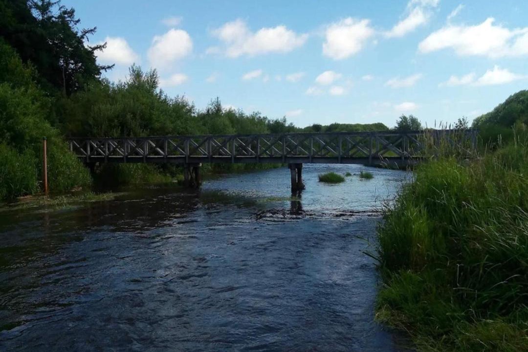 Photo of Others in Ansager