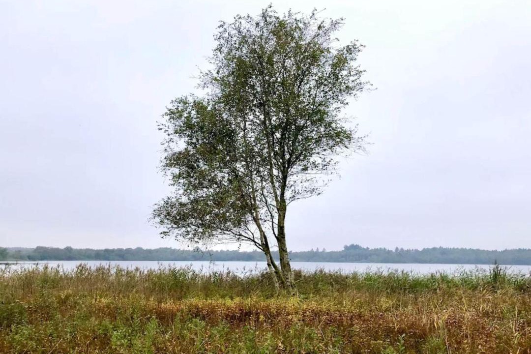 Photo of Others in Ansager