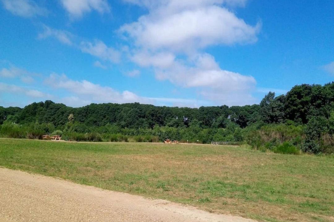 Photo of Others in Ansager