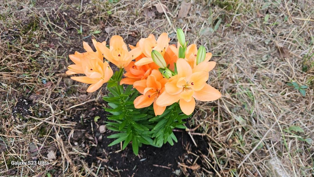 Photo of Outdoor in Fleuriel