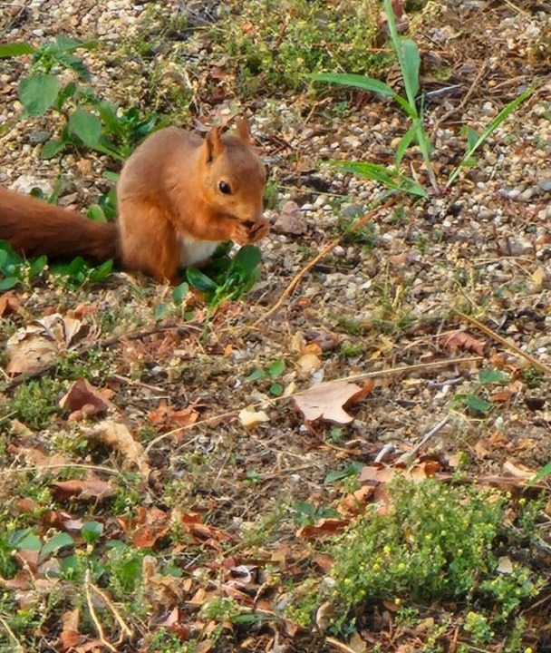 Photo of Others in Fleuriel