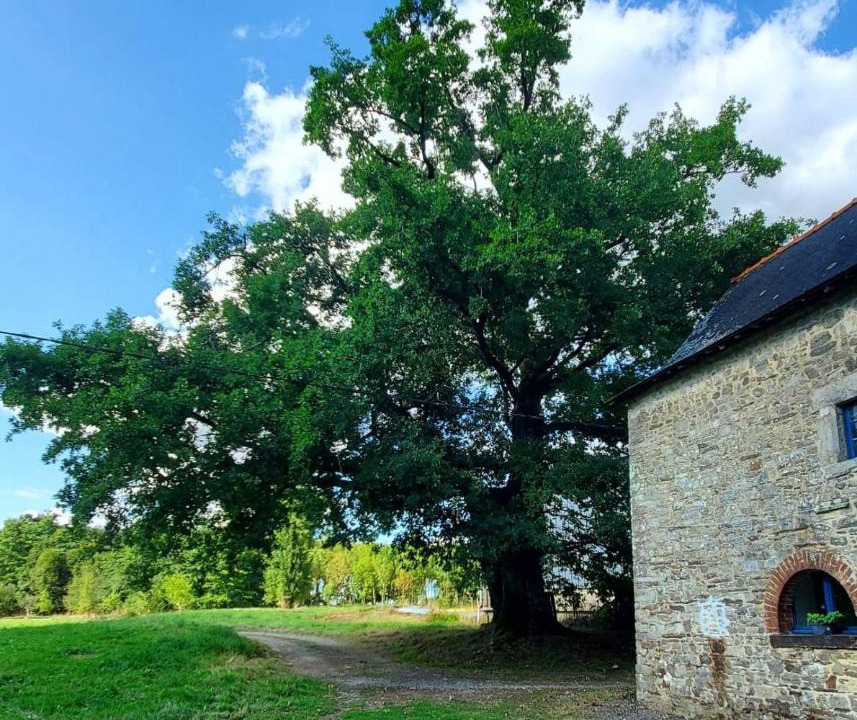 Photo of Others in Crevin