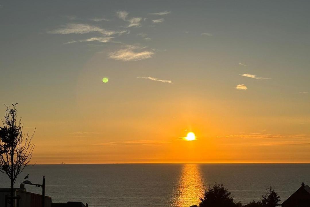 Photo of Others in Ault