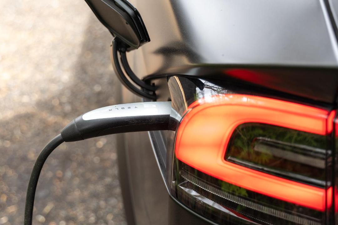 Photo of Others in Rama