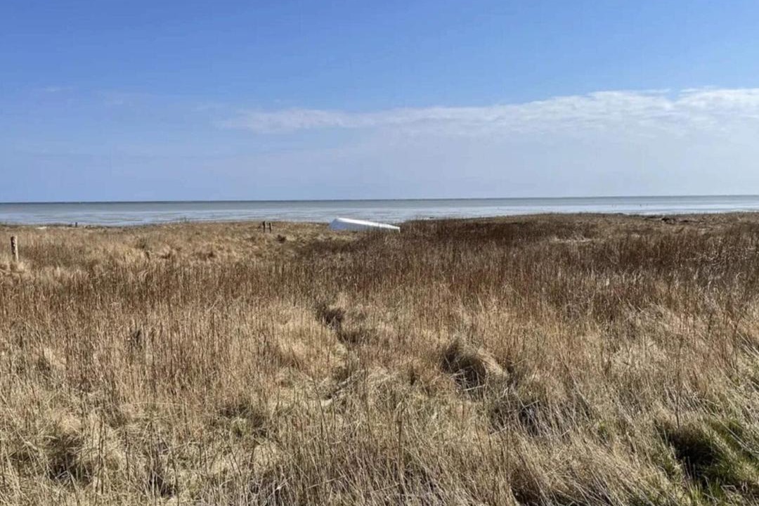 Photo of Others in Helberskov Strand