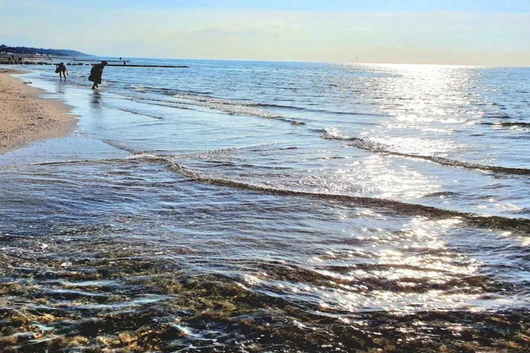 Photo of Others in Udsholt Sand