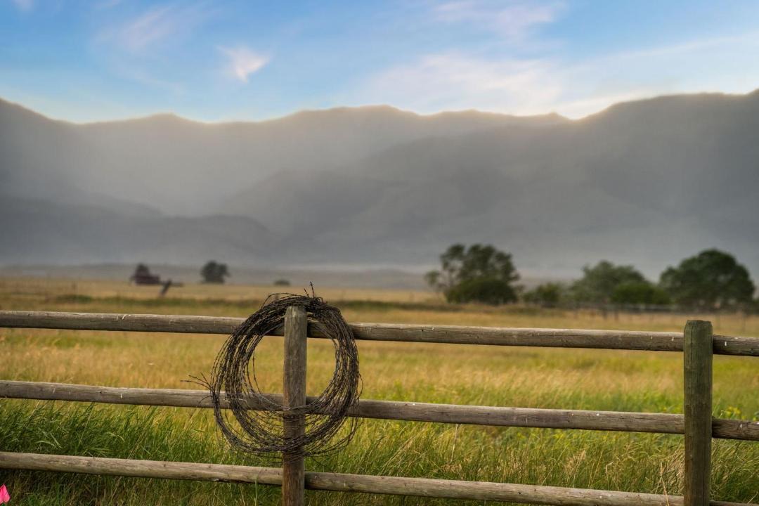 Photo of Others in Livingston