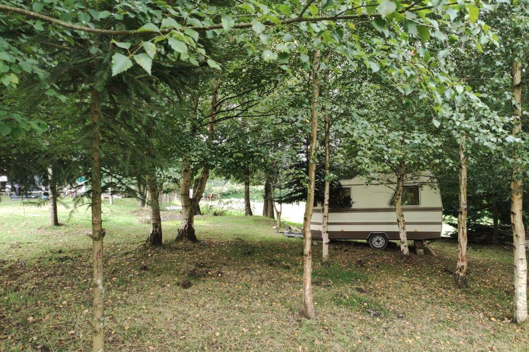 Photo of Outdoor in La Chaise-Baudouin