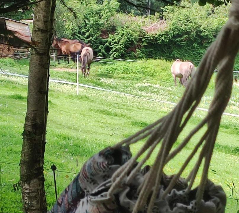 Photo of Others in La Chaise-Baudouin