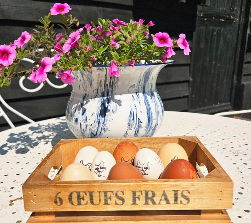 Photo of Others in Beaulieu