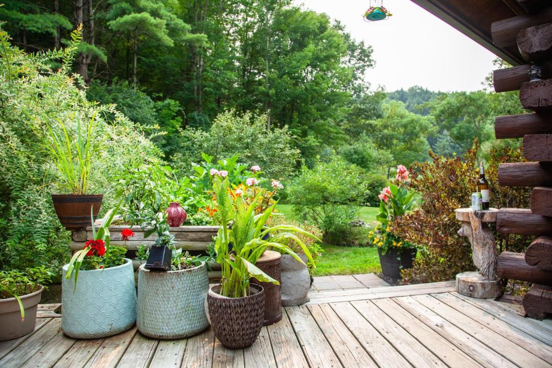 Photo of Others in Williston North