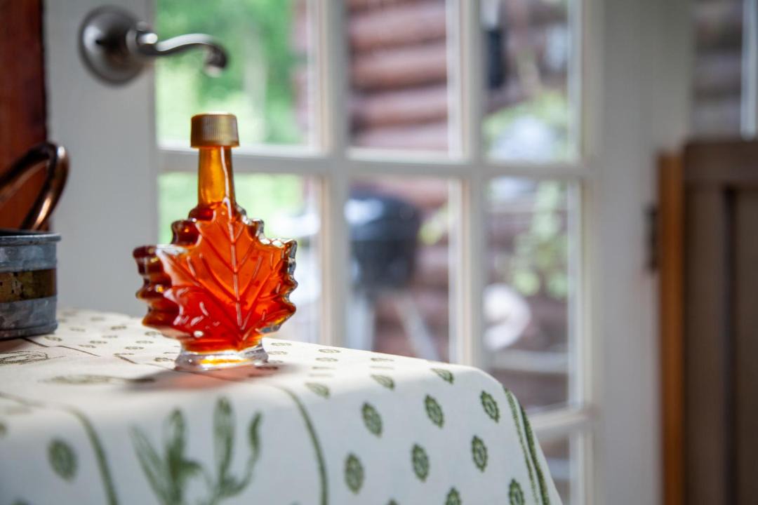 Photo of Kitchen in Williston North