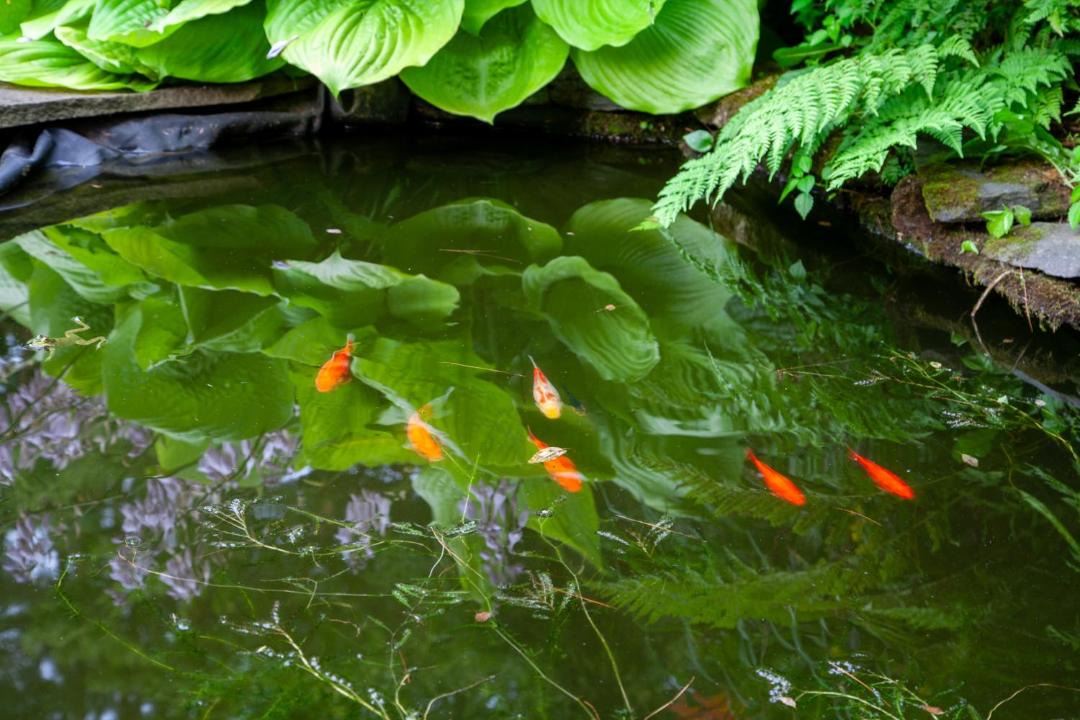 Photo of Others in Williston North