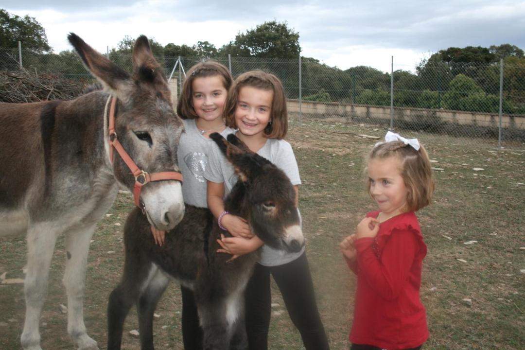 Photo of Others in Hueto Arriba