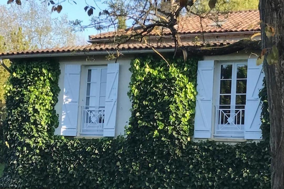 Photo of Others in Dunes