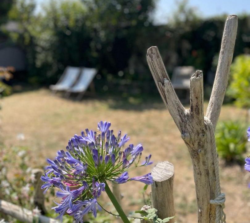 Photo of Others in Brie-sous-Mortagne