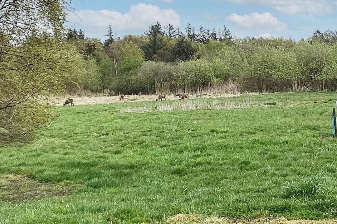 Photo of Others in Sillerslev