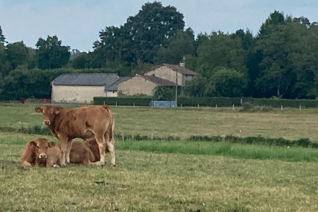 Photo of Others in Nantiat