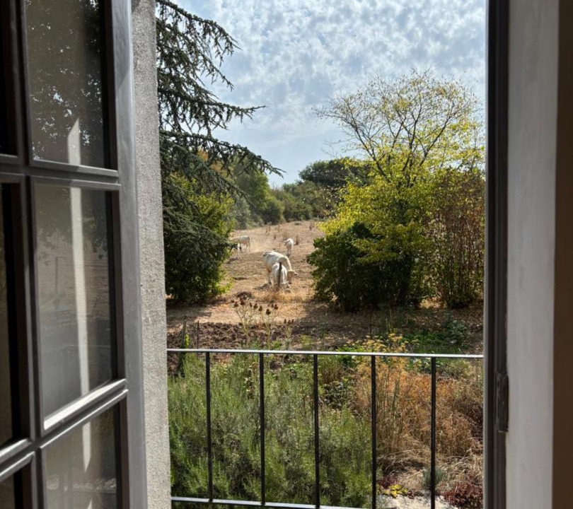 Photo of Patio Balcony in Rouy
