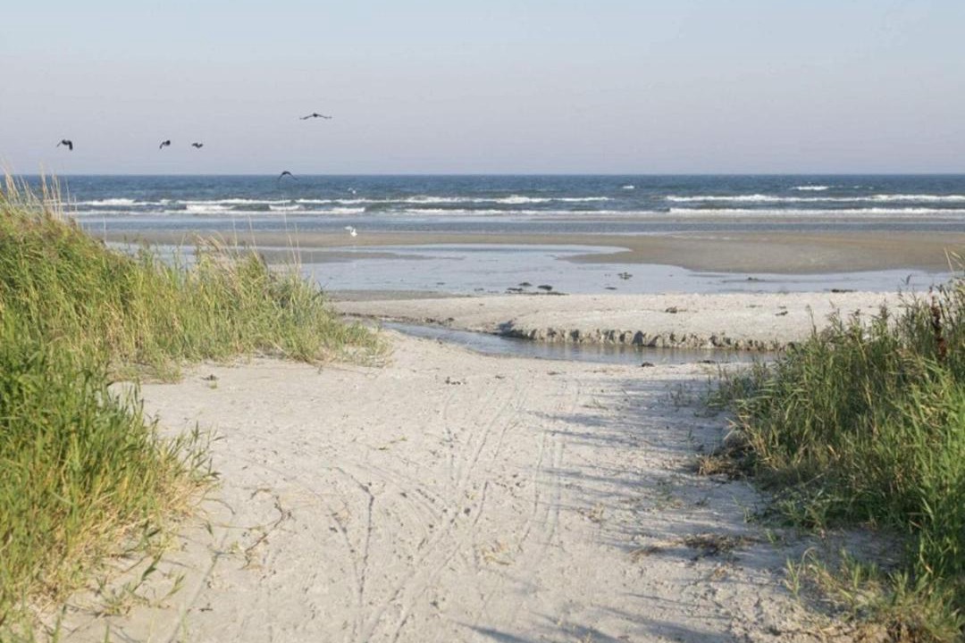 Photo of Others in Helberskov Strand