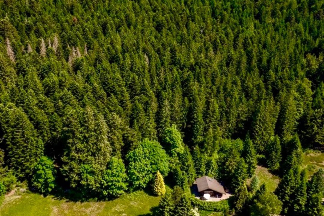 Photo of Others in Granges-Aumontzey