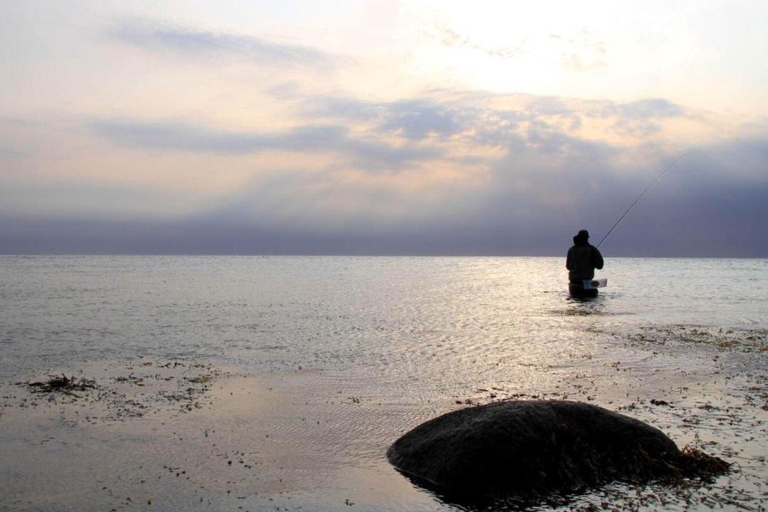 Photo of Others in Helberskov Strand
