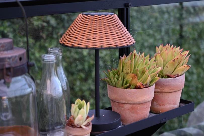 Photo of Others in Guldborg