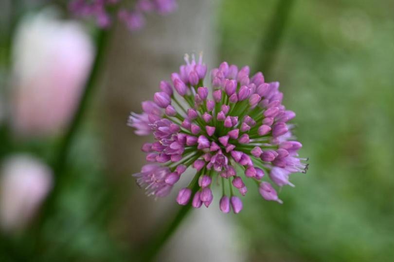 Photo of Outdoor in Guldborg