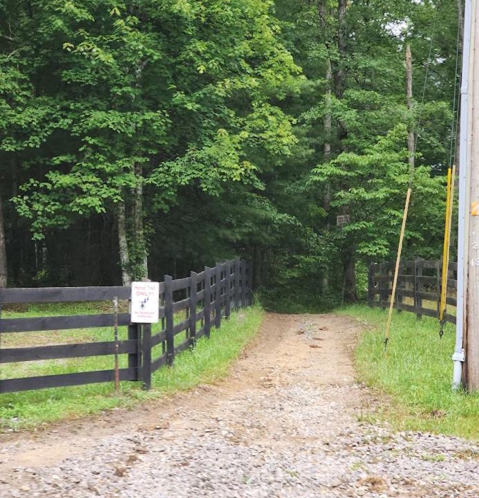 Photo of Others in Jamestown